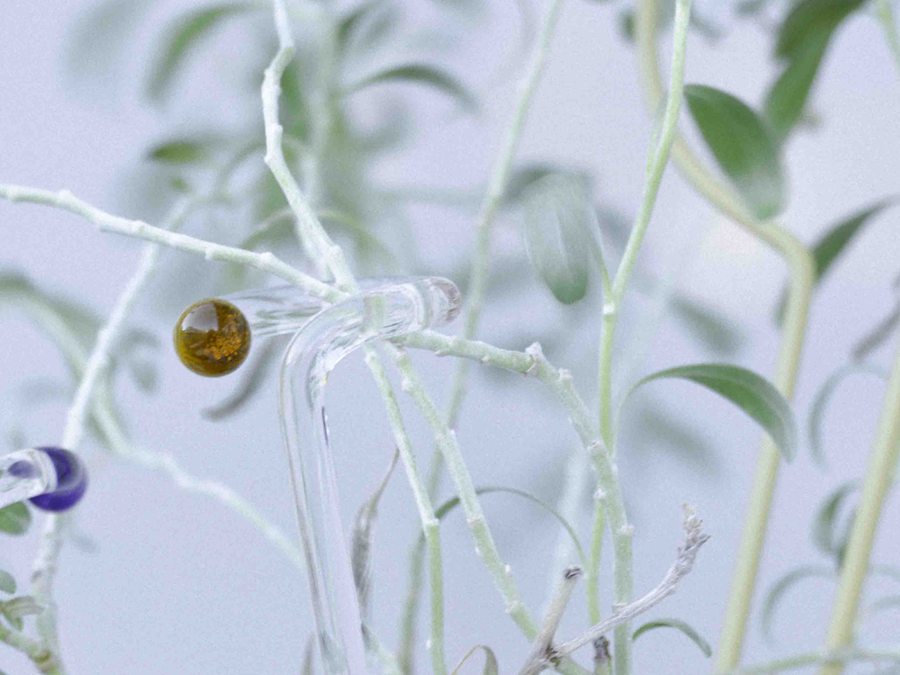 ガラスの支柱の先端の輪に植物の茎を通して支えるアンバーのビーズ