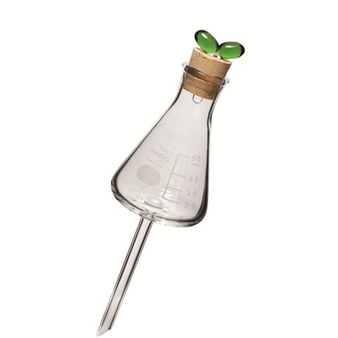 プランターに挿す水やり器 新芽