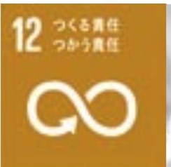 SDGs 目標12 つくる責任つかう責任